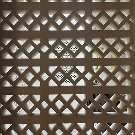 Plexi Space